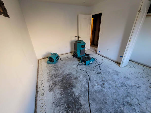 Best Ceiling water damage repair  in Washington, PA