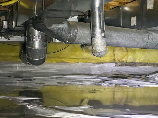 Best Mold removal after water damage  in Washington, PA
