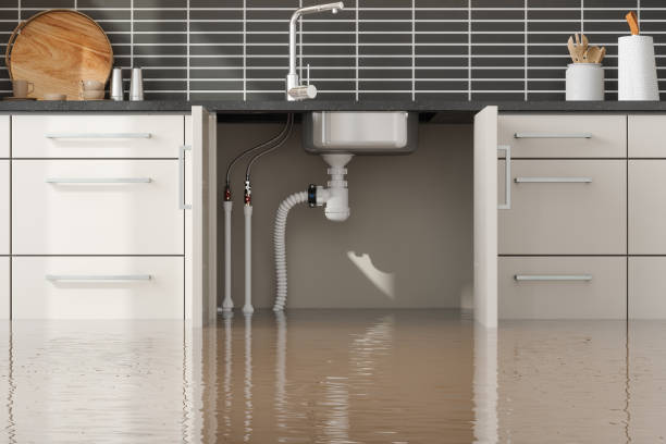 Best Ceiling water damage repair  in Washington, PA